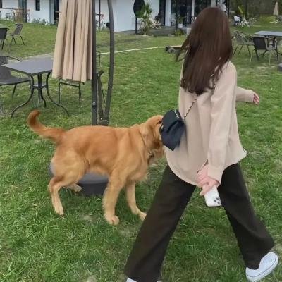 傲骨贤妻第七季