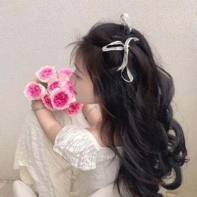 蝴蝶大冒险